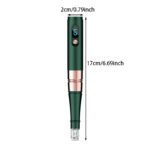 (S02) Home Facial Massager, Nanocrine Pen, Facial Beauty And Skin Care Tools - With 2 Disposable Replacement Heads