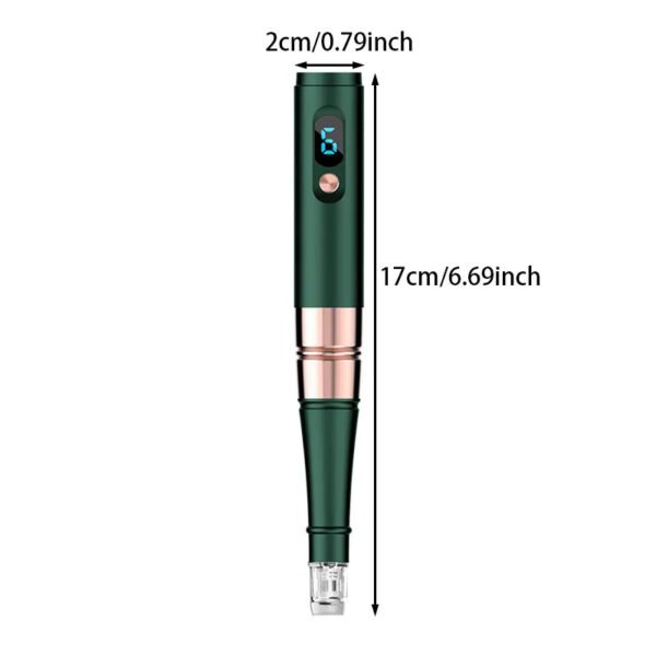 (S02) Home Facial Massager, Nanocrine Pen, Facial Beauty And Skin Care Tools - With 2 Disposable Replacement Heads