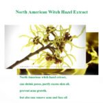 Herbal Acne Face Scar Treatment Cream   Blackhead Remover Repair Gel -Oil Control /Shrink Pores /Whitening Korean Skin Care