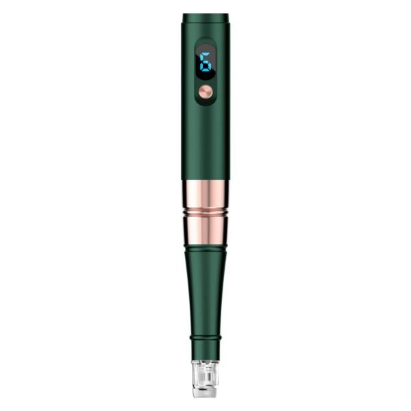(S02) Home Facial Massager, Nanocrine Pen, Facial Beauty And Skin Care Tools - With 2 Disposable Replacement Heads