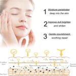 Face-lift Slimming Firming Hydrating and Moisturizing Anti-aging Brightening Face Cream 30g